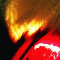 В руках несущие огонь-1