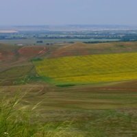 Цвета середины лета