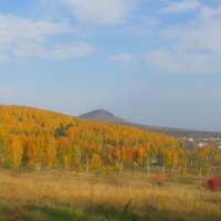 В багрец и золото одетые леса