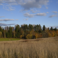 Золотая осень