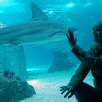 Рыба моя!А ты совсем не страшная