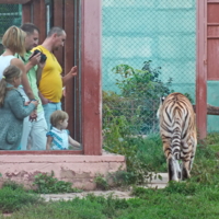 Всё относительно