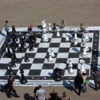 Парковые шахматы.