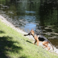 Команда выполнена!