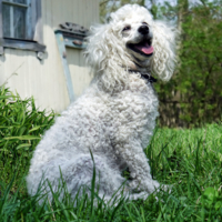 На даче перед походом на рыбалку