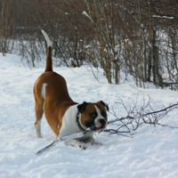 Ну-ка, отними!