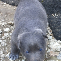 Счастье познания мира
