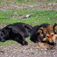 Охрана материнства... 