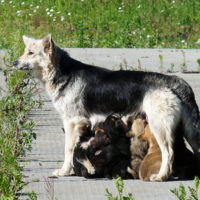 вот оно-счастье