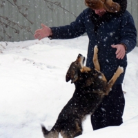 Хозяин вернулся!