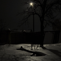 Сказочная ночь