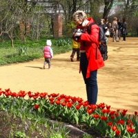 Притяжение цвета