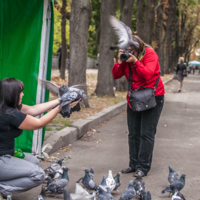 Опять я не в фокусе!