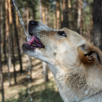 Попала в струю)