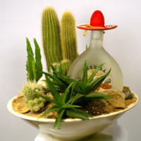 Мексиканские мотивы