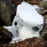 Портрет с дыркой в голове.