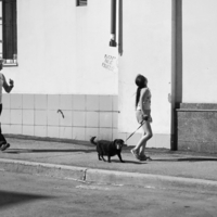 Без названия