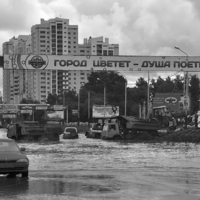 Когда цветет город