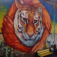 Сила в руках