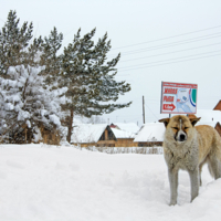 Xе-xе, скоро буит неживая