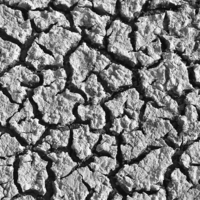 Автограф засухи