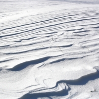 Снежный офорт