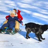 Мороз и солнце; день чудесный!