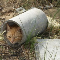 Укромное местечко