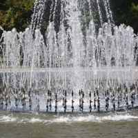 Сводный хор