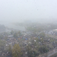 Начало лета