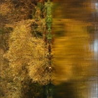 Клязьминские фантазии