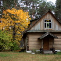 В осеннем лесу