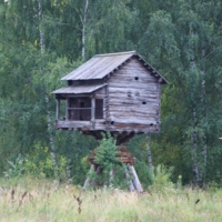 В зеленом обрамлении...