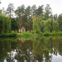 У лесного озера