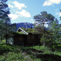 В норвежских лесах