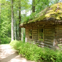 Старичок-лесовичок