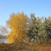 Разные судьбы