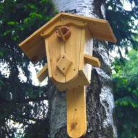 VIP-скворечник