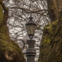 Фонарю приснились ливни...