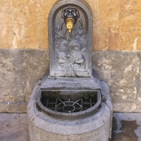 Источник жизни