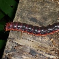 Как бы не упасть