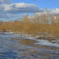 однажды весной