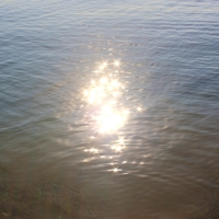 Утренние россыпи