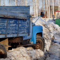 Перезимовал