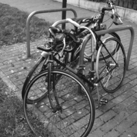 Дружба двух велосипедов