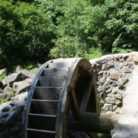 Хочешь жить - умей вертеться