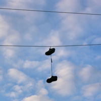 Хозяин, ты где?!!