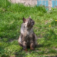 Может сегодня не опоздает?!!