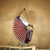 Загрустила одинокая