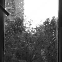 Дождь за окном...